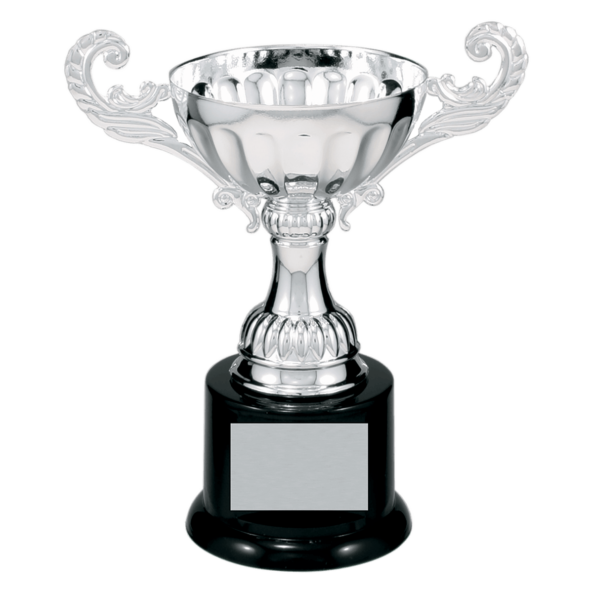 Silver Metal Cup-6 1/2"