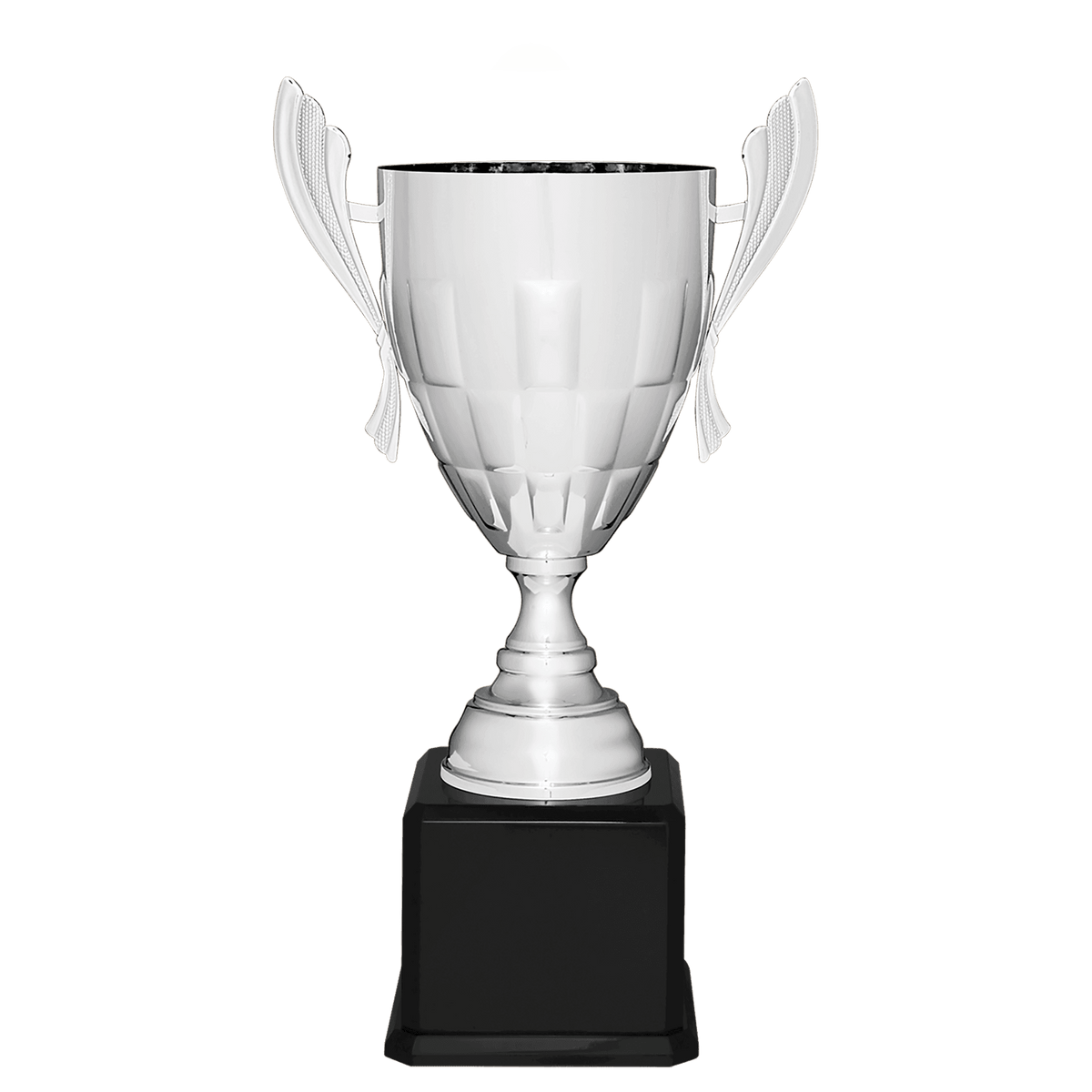 Silver Metal Cup-24 3/4"