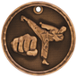 Martial Arts 3-D Medal-Bronze
