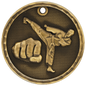 Martial Arts 3-D Medal-Gold
