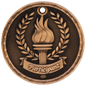 Participant 3-D Medal-Bronze