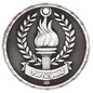 Participant 3-D Medal-Silver
