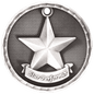 Star Performer 3-D Medal-Silver