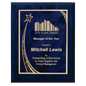9" x 12"  Blue Woodgrain Plaque with Blue Rising Star Plate