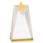 6" Gold Sculpted Star Acrylic