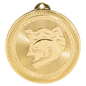 Racing BriteLazer Medal-Gold