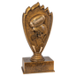 Football Blaze Award
