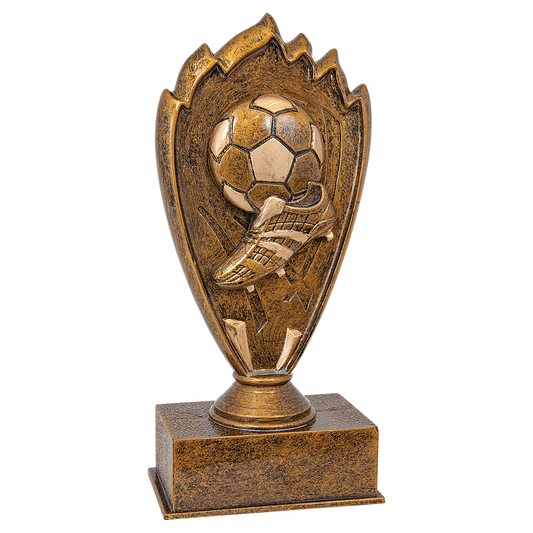 Soccer Blaze Award