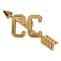 Cross Country Chenille Pin