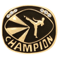 Martial Arts Champion Ring Insert (Price includes ring ordered by size)