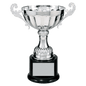 Silver Metal Cup-8 1/2"