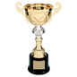 Gold Metal Cup-10"