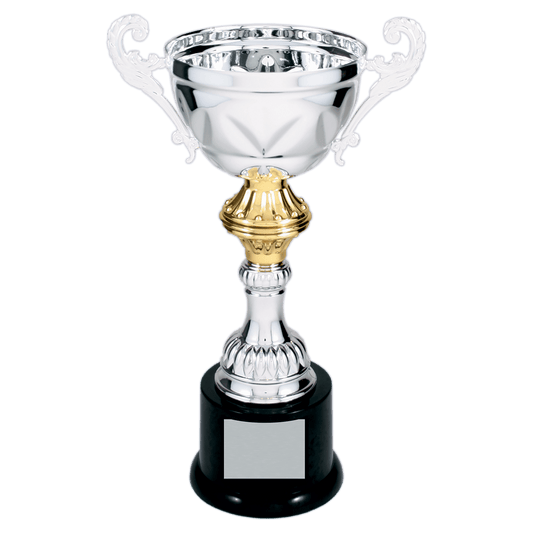 Silver Metal Cup-10"