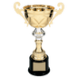 Gold Metal Cup-11 1/2"