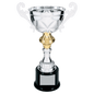 Silver Metal Cup-11 1/2"