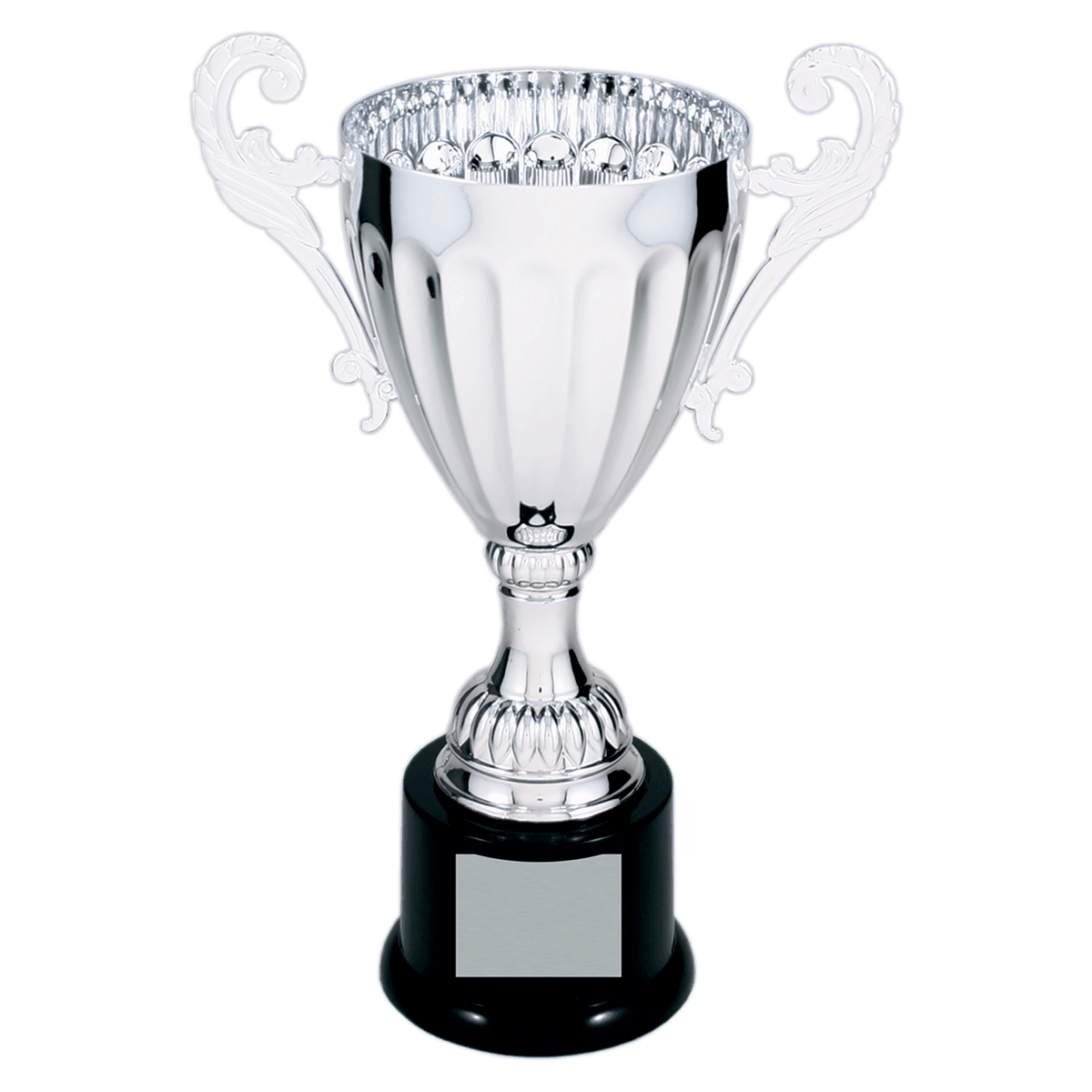 Silver Metal Cup-9 3/4"