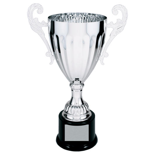 Silver Metal Cup-12"