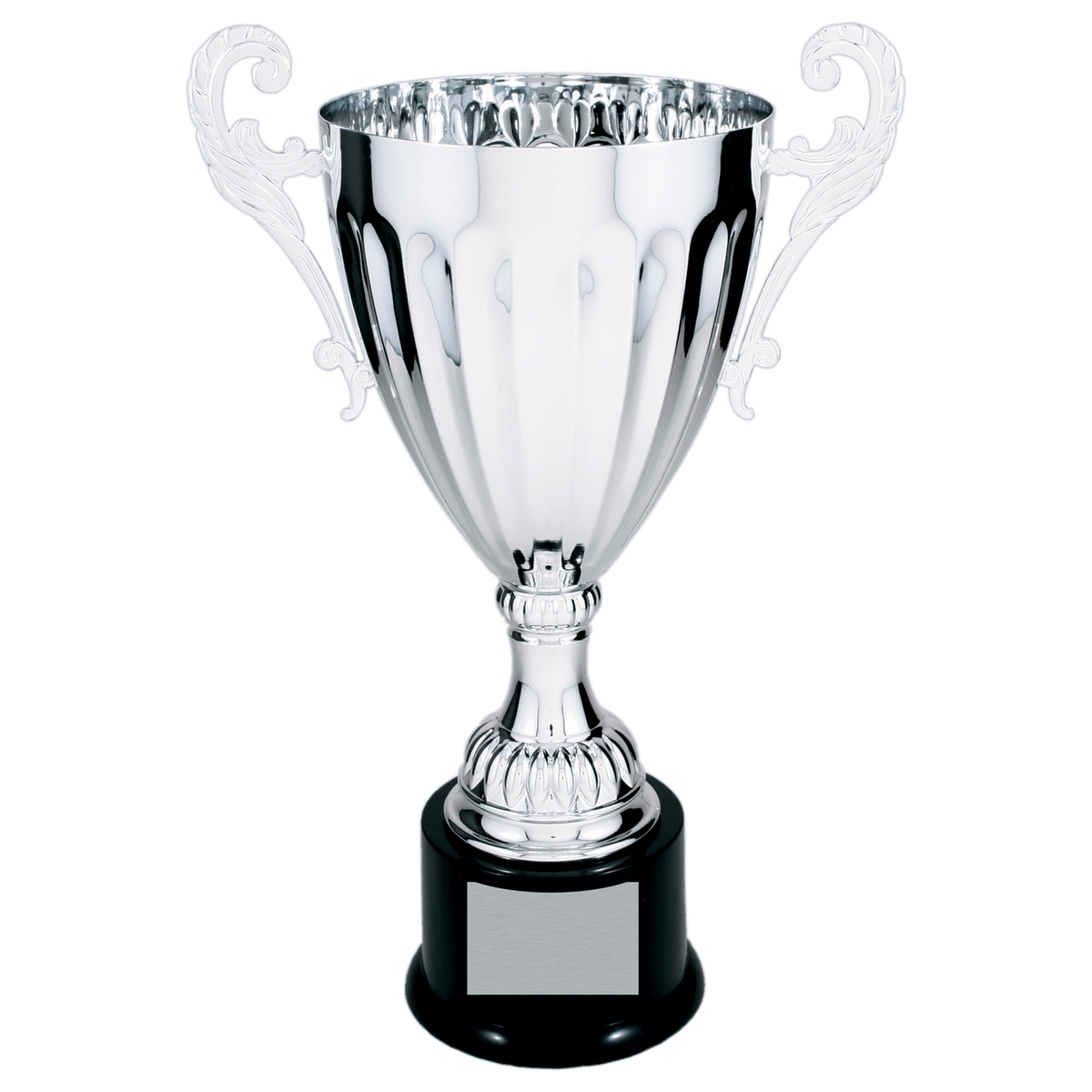 Silver Metal Cup-13 1/4"
