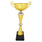 Gold/Silver Metal Cup