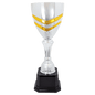 Silver/Gold Metal Cup-19"