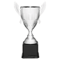 Silver Metal Cup-22"