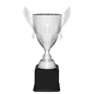 Silver Metal Cup-24 3/4"