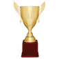Gold Metal Cup-26 1/2"