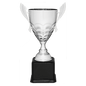 Silver Metal Cup-21"