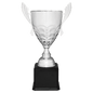 Silver Metal Cup-25 1/4"