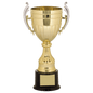Gold Plastic Cup-13"