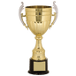 Gold Plastic Cup-16 3/4"