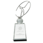 12" Silver Metal Golfer Silhouette on a Crystal Golf Ball & Base