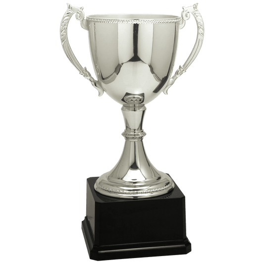 Silver Zinc Cup-11"