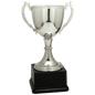 Silver Zinc Cup-11"