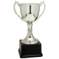 Silver Zinc Cup-12 3/4"