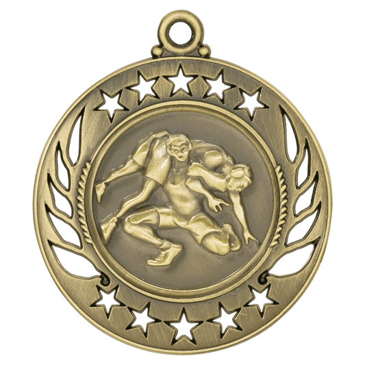 Wrestling Galaxy Medal-Gold