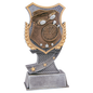 Swimming Shield Award