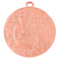 Science Superstar Medal-Bronze