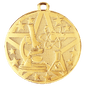 Science Superstar Medal-Gold