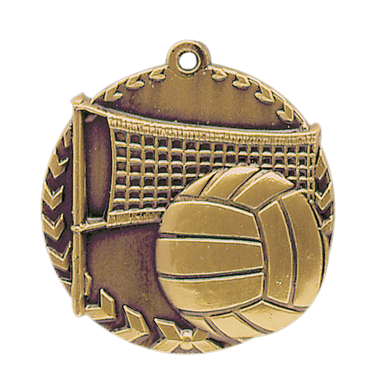 Volleyball Millennium Medal-Gold