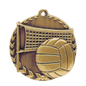 Volleyball Millennium Medal-Gold