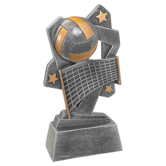 Volleyball Triumph Resin-6 1/2"