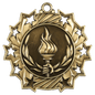 Torch Ten Star Medal-Gold