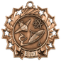 Science Ten Star Medal-Bronze