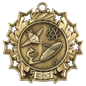 Science Ten Star Medal-Gold